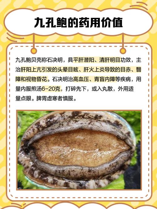 2025年鲍鱼网名区域的神秘崛起，背后隐藏了哪些惊人真相？