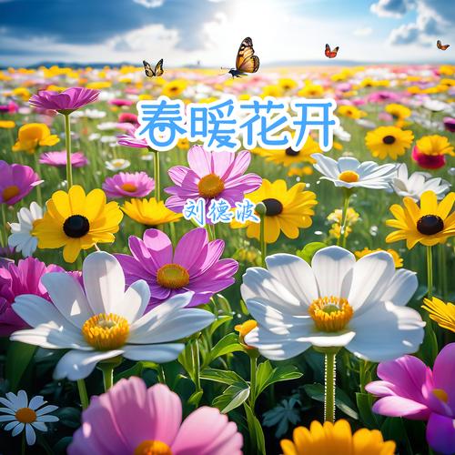 花开春暖下载,视频福利你懂的