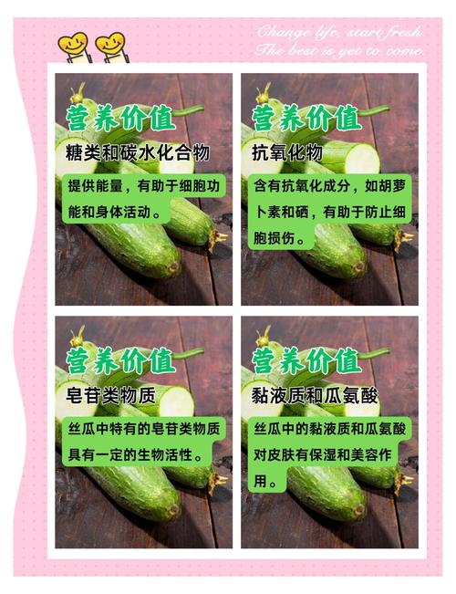 丝瓜黄瓜秋葵草莓免费版 vs 付费版：哪个更值？健康益处大比拼