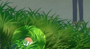 ```html
有关“夏目友人帐叶月之记历史卷子作业”中的正确答案问题，该在哪里寻找-这就是题目的核心。