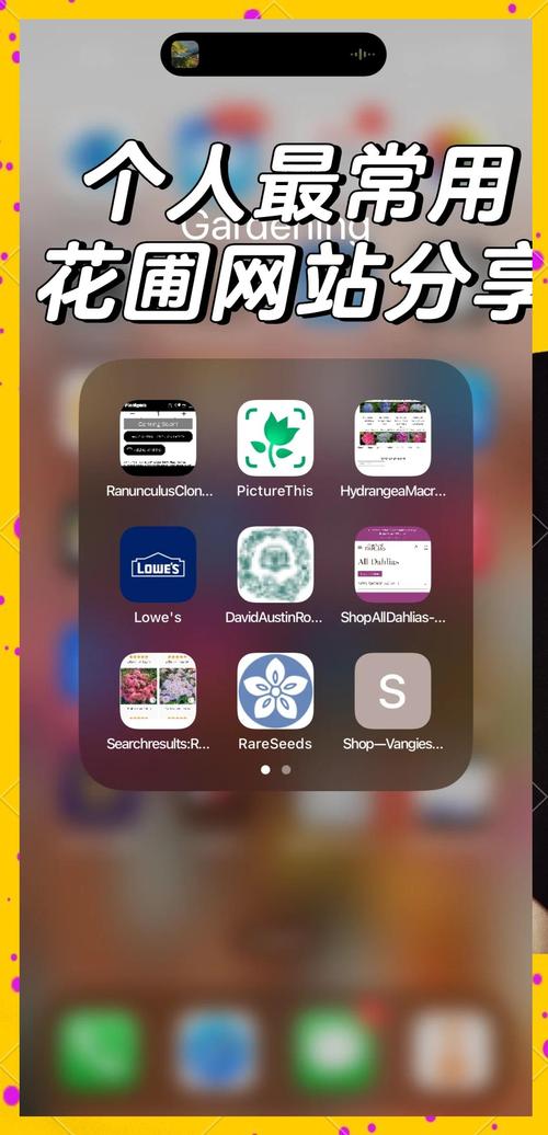 5个最新野花社区视频资源平台，2025年热门推荐与下载指南