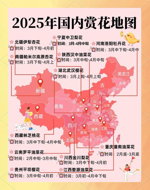 5个最新野花社区视频资源平台，2025年热门推荐与下载指南