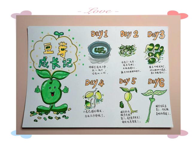 如何高效在线观察幼苗紧凑生长状态？这5个技巧不可错过！