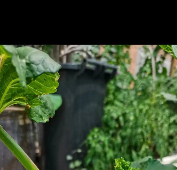 秋葵app下载汅api免费ios实现追剧自由,平台回应:想看的都有 秋葵app下载汅api免费ios实现追剧自由,平台回应:想看的都有