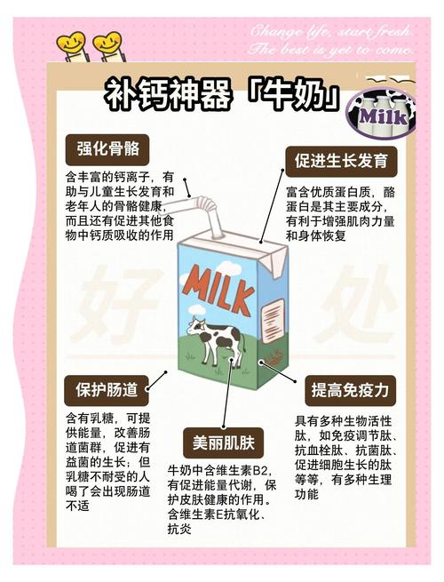 5种国产亚洲奶制品的健康益处与实用视频指南