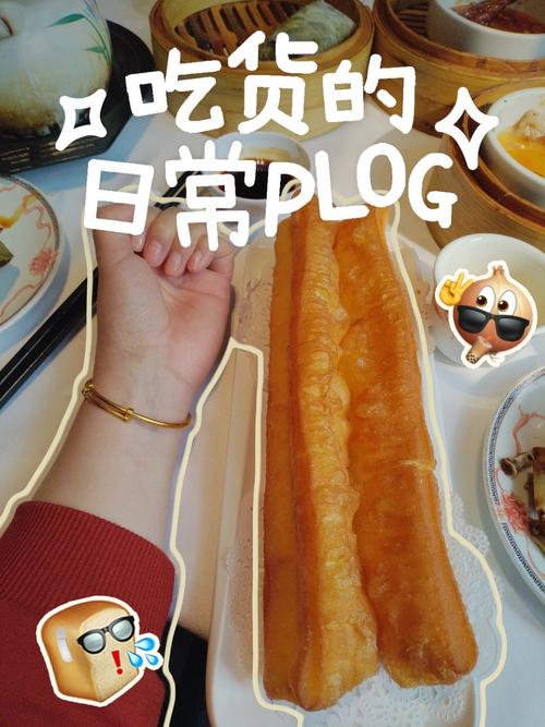 油条视频v2.21无需注册，用户：实现自由了