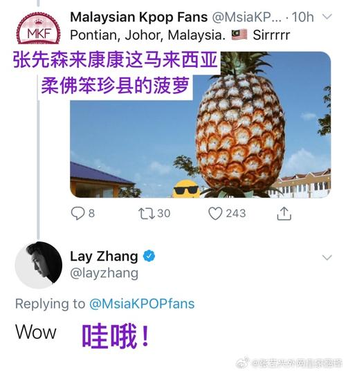 APP福引导绿巨人大菠萝最新版V2.2.8_APP福引导绿巨人大菠萝安装下载