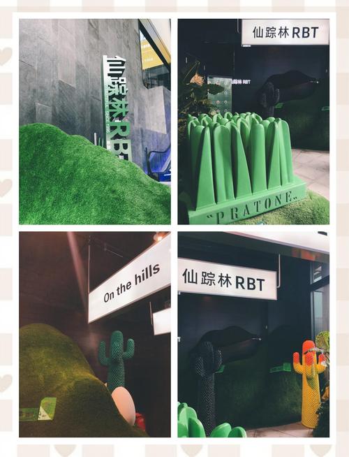 仙踪林cheapwindowsvps被指女主播才艺多，网友：感觉都不错！