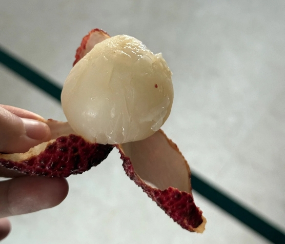 你所品尝的荔枝是否“已死”？原来在挑选荔枝时需要留意诸多细节！