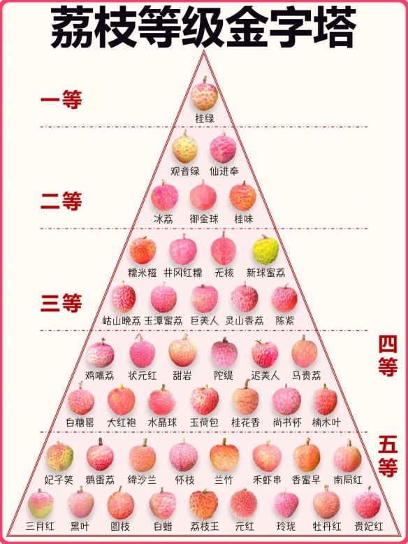 你所品尝的荔枝是否“已死”？原来在挑选荔枝时需要留意诸多细节！