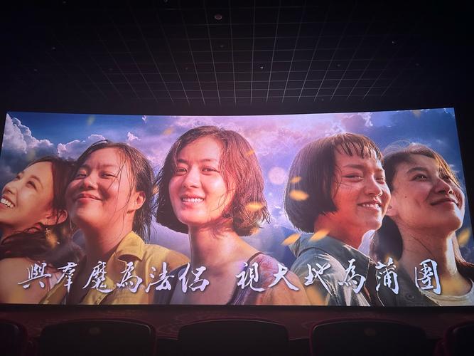 免费影视 vs 大白影视：哪个提供更安全、高清的观影体验？