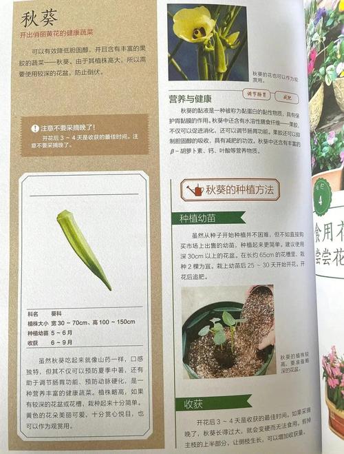 5个秋葵绿巨人免费版高效使用技巧，轻松提升工作效率！