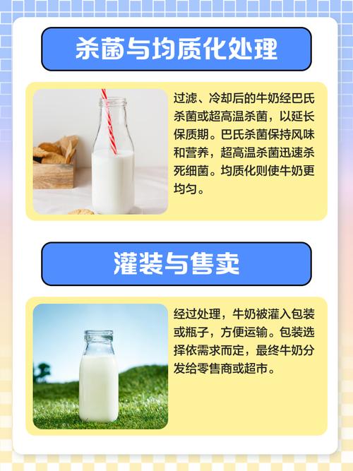 牛奶短视频1.0.1最新版如何助你制作专业级视频？