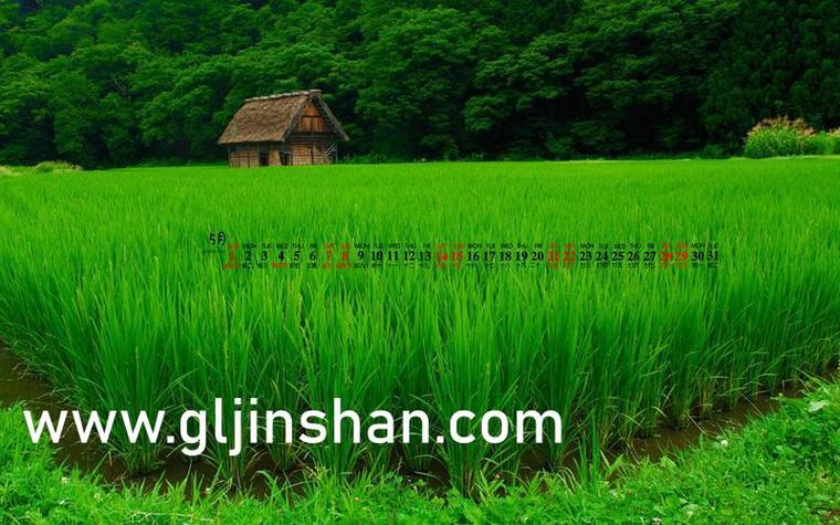 仙踪林cheapwindowsvps,提供更加精彩的娱乐生活