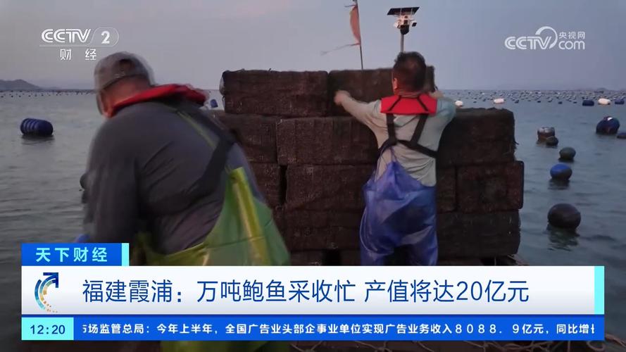 鲍鱼tv5apk官网appAPPV6.5.3_鲍鱼tv5apk官网app安装下载 鲍鱼tv5apk官网appAPPV6.5.3_鲍鱼tv5apk官网app安装下载