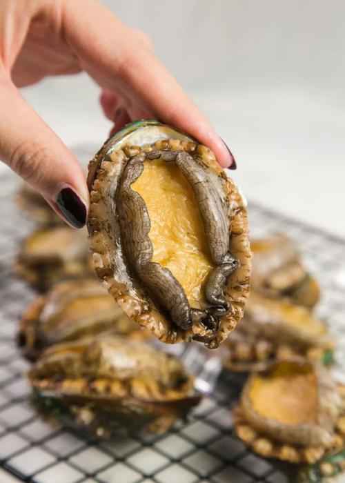 鲍鱼tv5apk官网appAPPV6.5.3_鲍鱼tv5apk官网app安装下载 鲍鱼tv5apk官网appAPPV6.5.3_鲍鱼tv5apk官网app安装下载