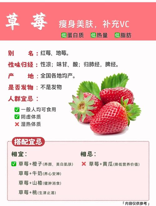 你真的知道免费最新版草莓苹果香蕉荔枝丝瓜的隐藏健康秘诀吗？