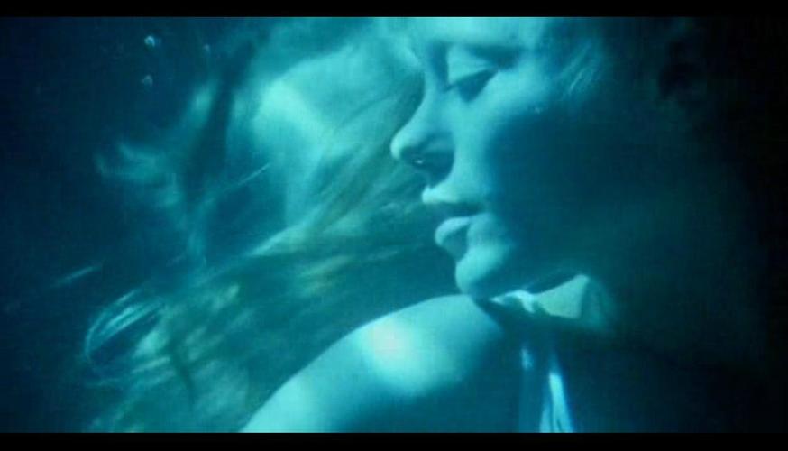 野花在线观看免费视频任意大片自由搜索，网友：是的！