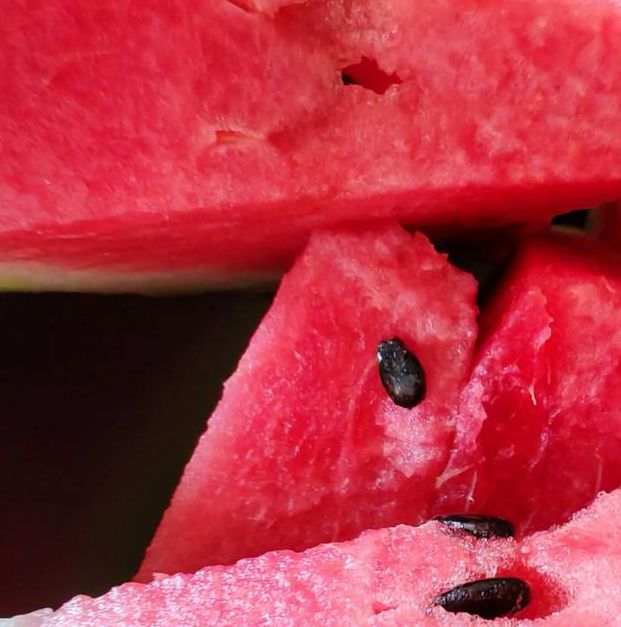 とらぶるだいありぴーち在线手机版V9.4.1_とらぶるだいありぴーち在线最新版