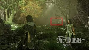 光与影 33 号远征队千面谷玩法攻略-光影交织中的远征指南，助你掌控千面谷的奥秘