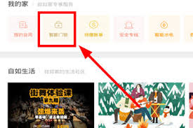 如何在自如平台上设定临时密码——详细操作指南