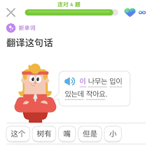 多邻国app如何进行日常打卡—多邻国打卡操作指南