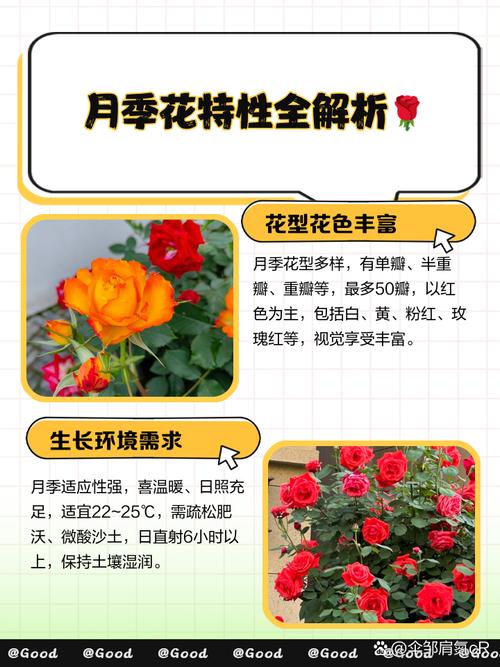 花季在线天堂的独特魅力：揭秘3个核心优势，让你重新认识！