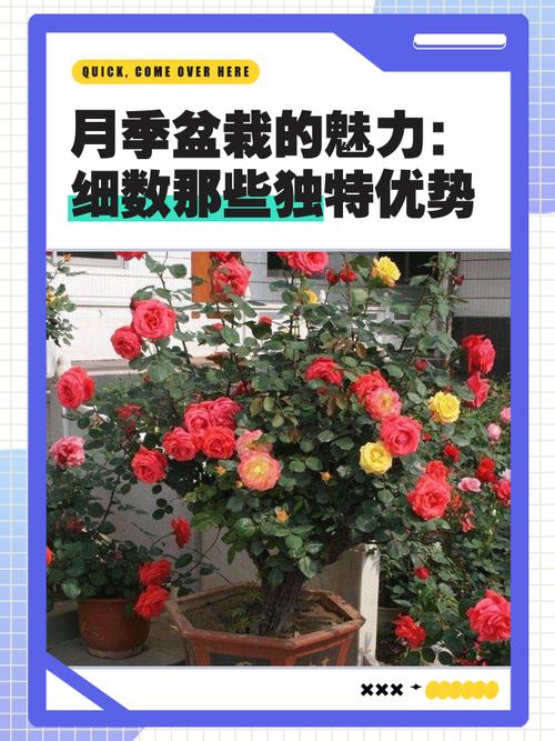 花季在线天堂的独特魅力：揭秘3个核心优势，让你重新认识！
