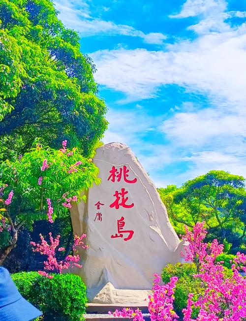 桃花岛成人永久网站入口手机版V5.7.3_桃花岛成人永久网站入口最新版