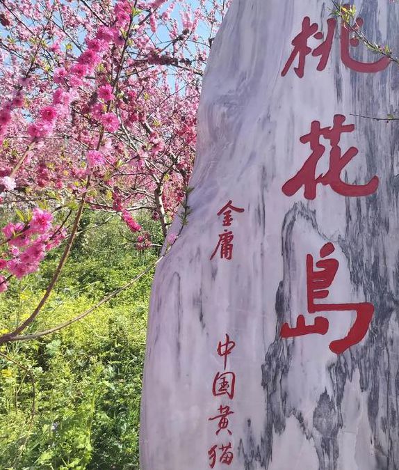 桃花岛成人永久网站入口手机版V5.7.3_桃花岛成人永久网站入口最新版