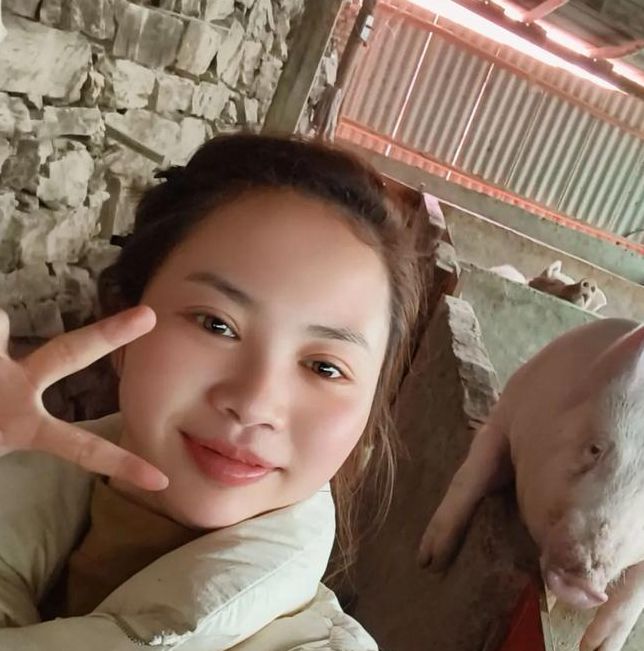 望月小猪视频下载官网软件V4.7.4_望月小猪视频下载官网安装下载