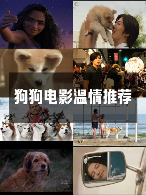 4k4k大狗狗电影网最新版V1.9.1_4k4k大狗狗电影网应用