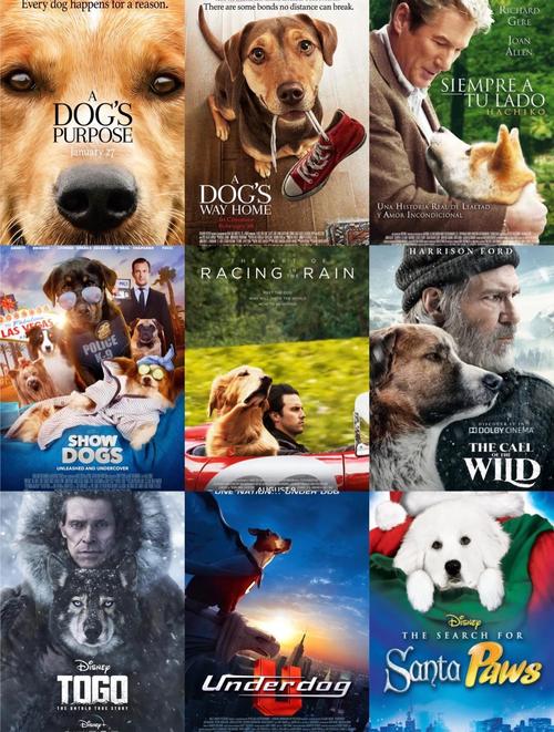 4k4k大狗狗电影网最新版V1.9.1_4k4k大狗狗电影网应用