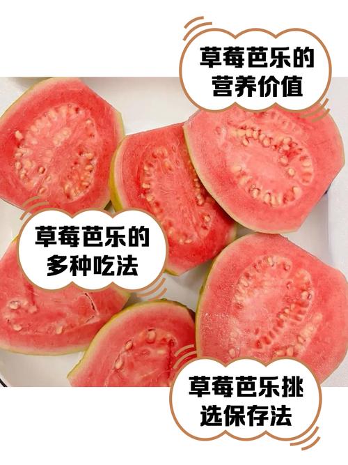 芭乐草莓绿巨人香蕉榴莲最新版V8.5.7_芭乐草莓绿巨人香蕉榴莲应用