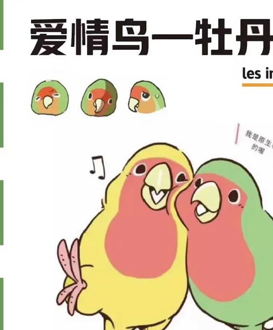 爱情鸟免费论坛二com很多年轻人都在使用，平台：会继续努力！