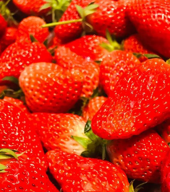 草莓视频在线观看高清免费大全最新版无需会员，网友：太好了！