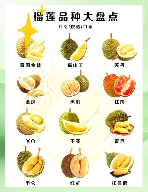 榴莲视频免费高清在线观看 vs 付费会员：哪个更值得选择？