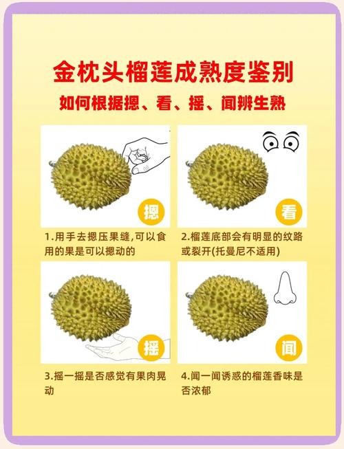 榴莲视频免费高清在线观看 vs 付费会员：哪个更值得选择？