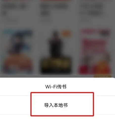 如何在番茄小说中实现本地书籍的导入？-详细指南：番茄小说导入本地书籍的步骤