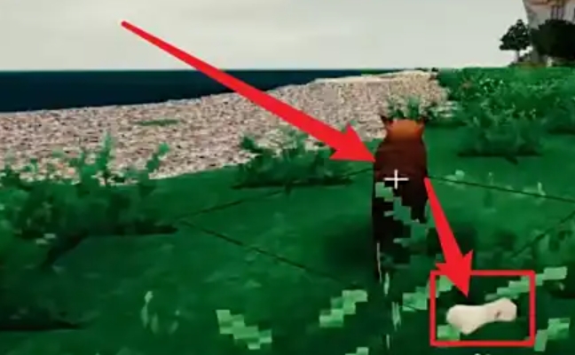 在《生存战争2》中，如何将狗变成忠实的伙伴？-驯养狗的具体技巧与步骤指南 

