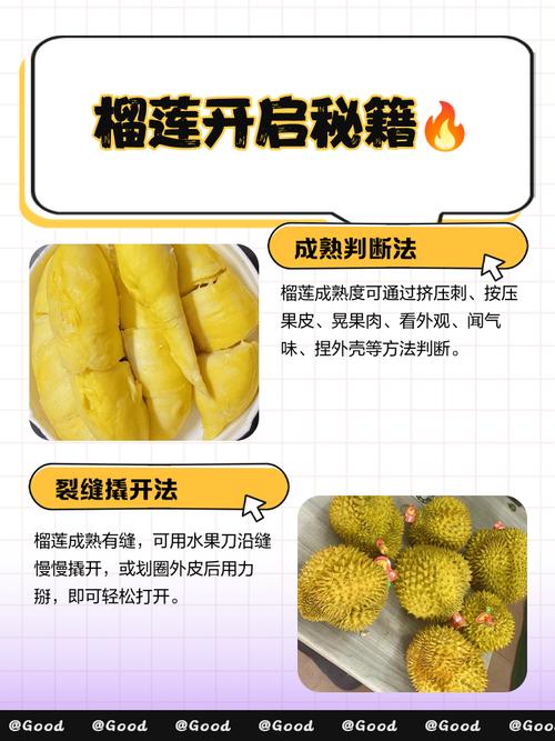 榴莲视频官网welcome的高效解决方案:如何快速掌握核心技能? 榴莲视频官网welcome的高效解决方案:如何快速掌握核心技能?