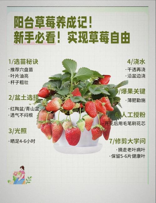 掌握草莓向日葵芭乐合欢丝瓜种植秘诀,轻松提升家庭园艺乐趣与健康 掌握草莓向日葵芭乐合欢丝瓜种植秘诀,轻松提升家庭园艺乐趣与健康