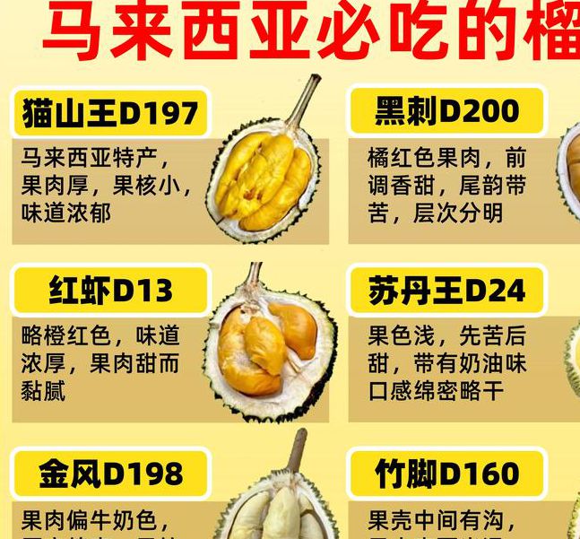 免费获取无限榴莲食谱下载,助你轻松成为家庭美食大师 免费获取无限榴莲食谱下载,助你轻松成为家庭美食大师