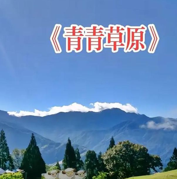 天天爽夜夜爽青青草原手机版V9.2.8_天天爽夜夜爽青青草原软件下载