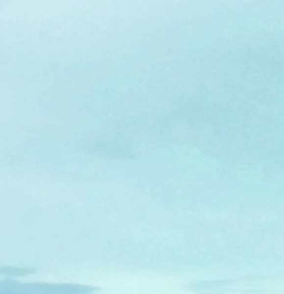 亚洲青青草原天天手机版V1.3.1_亚洲青青草原天天APP