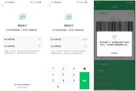 微信青少年模式中零钱额度的设置方法及相关操作介绍-如何在微信青少年模式下为零钱设定限额