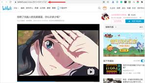 如何将哔哩哔哩上的视频保存到本地——详细的下载指南