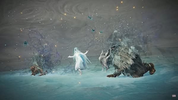 《艾尔登法环_黑夜君临》近日公布了全新角色：复仇者_死灵法师，令人期待的神秘角色正式亮相。 

