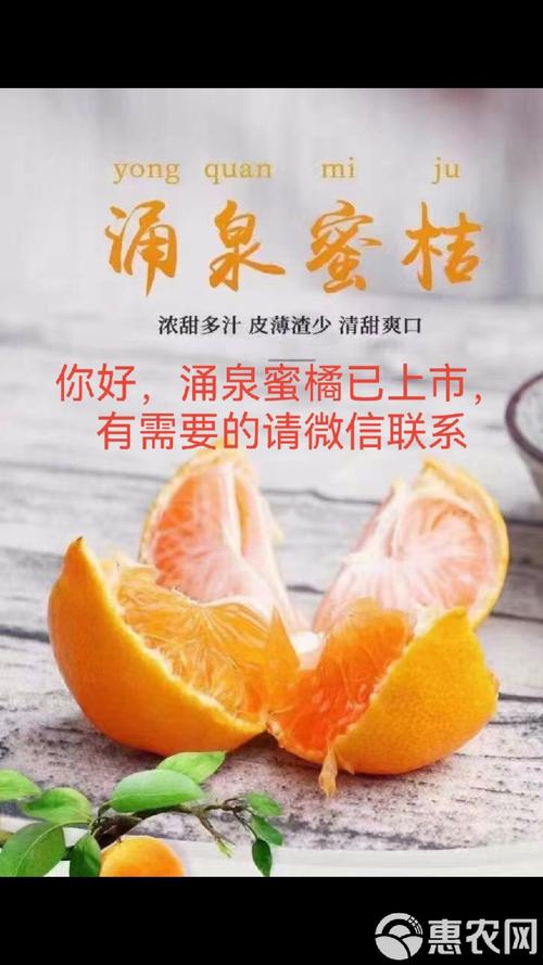 蜜桔app免费下载安卓:免费可以看亏亏的软件手机版V6.8.3_蜜桔app免费下载安卓:免费可以看亏亏的软件应用下载