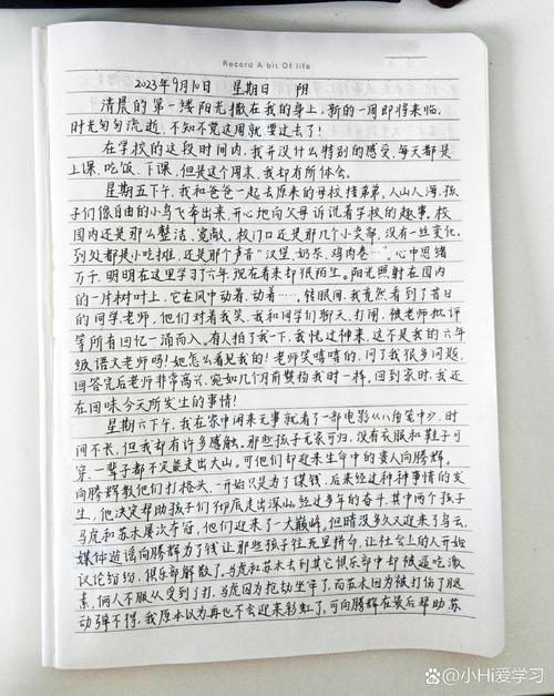 抄周记大全不需要注册就能使用，网友：隐私保障很好